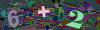 captcha-1783664114