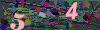 captcha-1783715337