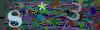 captcha-1783721978