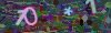 captcha-1783758797