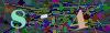 captcha-1783877967