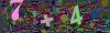 captcha-1784011513