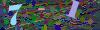 captcha-1784047306