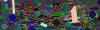 captcha-1784067179