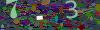 captcha-1784070586