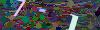 captcha-1784116665