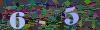 captcha-1784117917