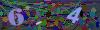 captcha-1784127785