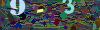 captcha-1784135464