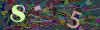 captcha-1784138037