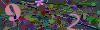 captcha-1784149072