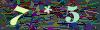captcha-1784153181