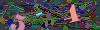 captcha-1784156326
