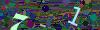 captcha-1784182919