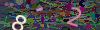 captcha-1784195083