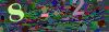 captcha-1784220386