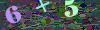 captcha-1784232304