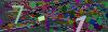 captcha-1784238840