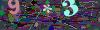 captcha-1784238942