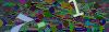 captcha-1784239449