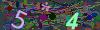 captcha-1784239988