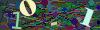captcha-1784244003