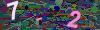 captcha-1784247798