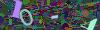 captcha-1784251039