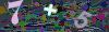 captcha-1784255258