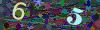 captcha-1784264791