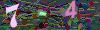 captcha-1784267135