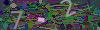 captcha-1784269075