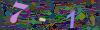 captcha-1784274200