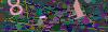 captcha-1784317091