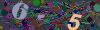 captcha-1784409098