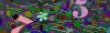 captcha-1784623991