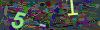 captcha-1784655145
