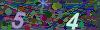 captcha-1784665071