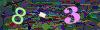 captcha-1784684212