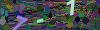captcha-1784741607