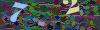 captcha-1784747041