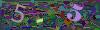 captcha-1784878036