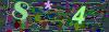 captcha-1784886288