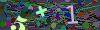 captcha-1784904480
