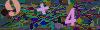 captcha-1784956453