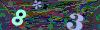 captcha-1785051684
