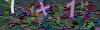 captcha-1785177447
