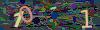captcha-1785283950
