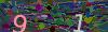 captcha-1785294948