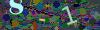captcha-1785297649